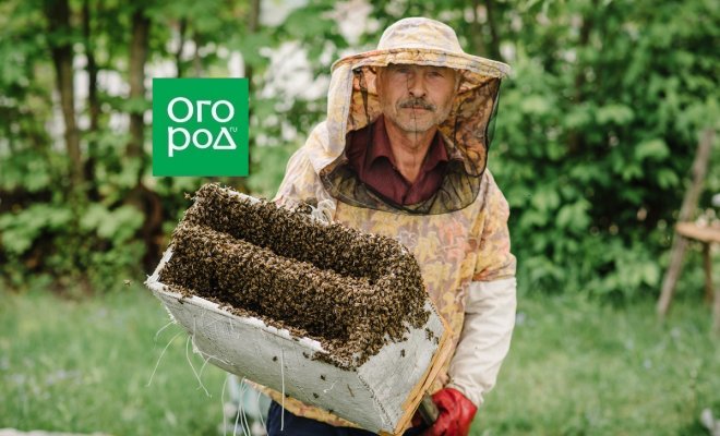 Инвентарь и оборудование для пчеловодства